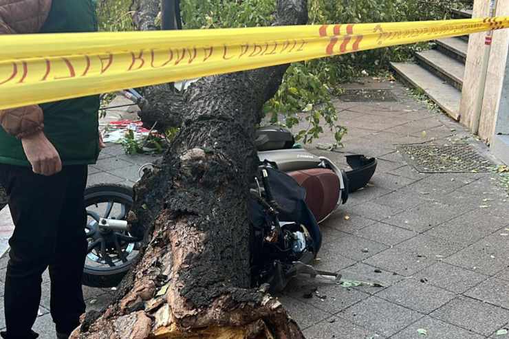 E' accaduto a Roma