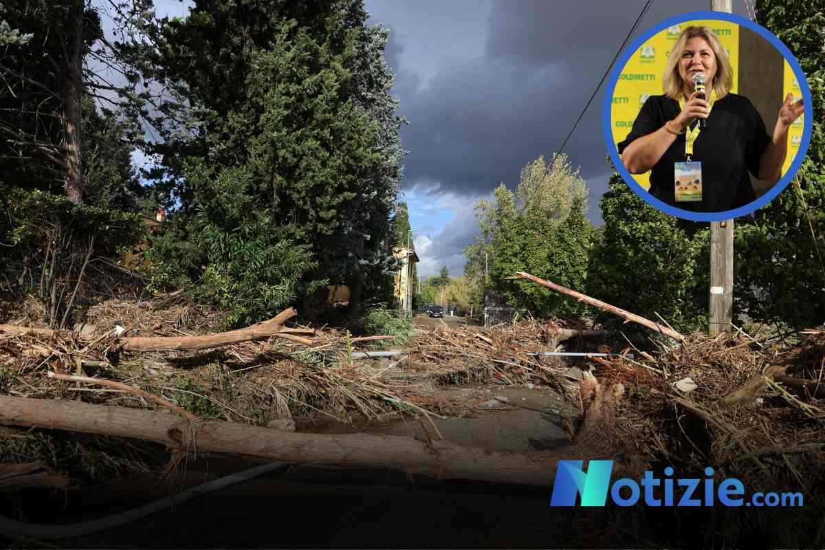 Toscana, Cesani (Coldiretti) a Notizie.com: "Coinvolgere i coltivatori nella gestione delle problematiche idrogeologiche"