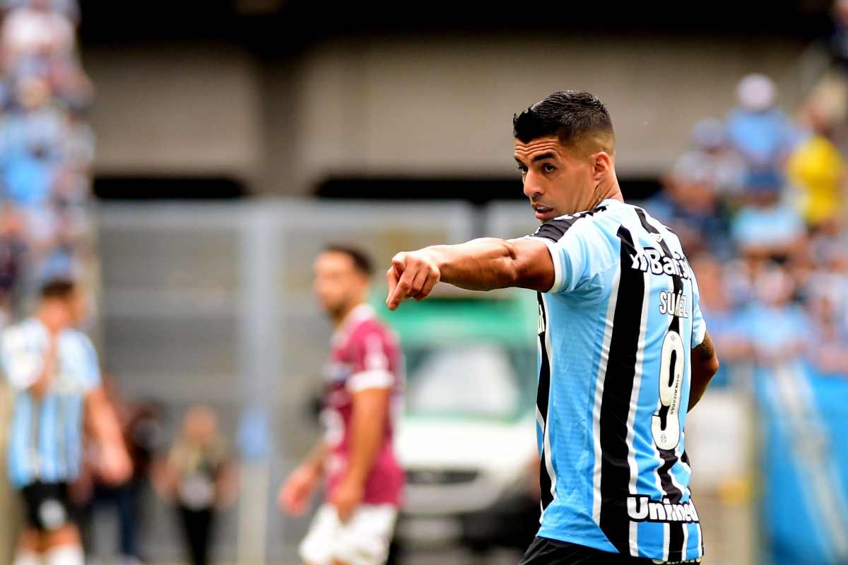 Luis Suarez, dal Brasile a Miami