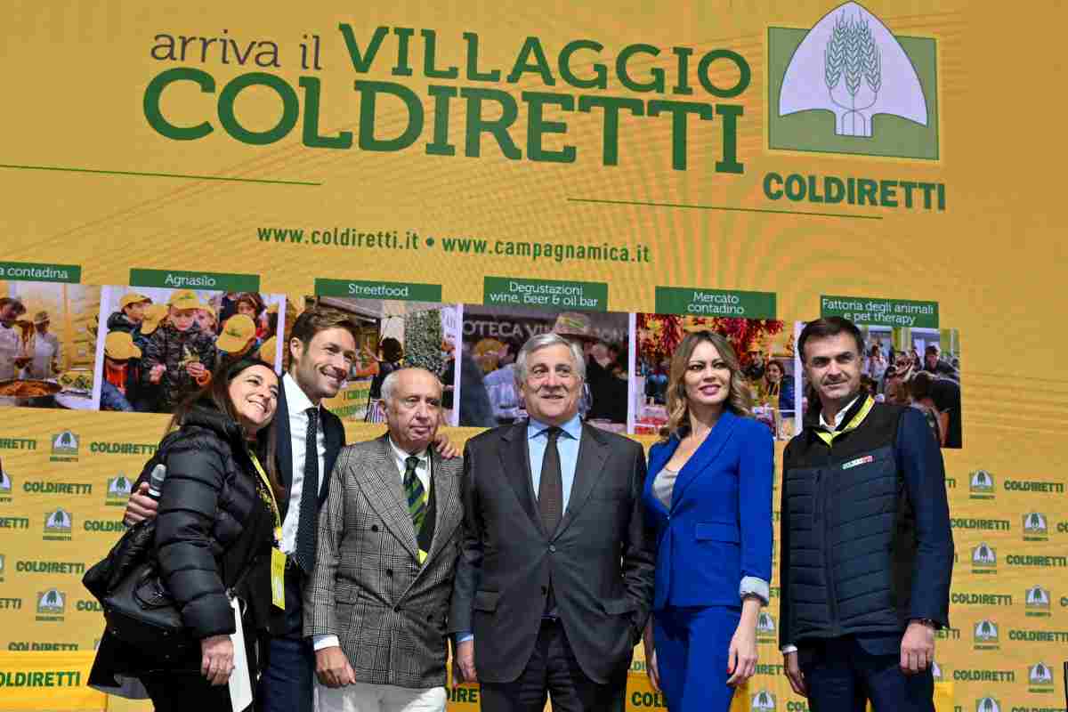 I dati dell'Immacolata