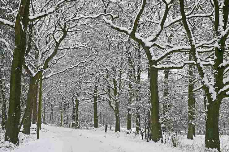 Arriva il freddo nel nostro Paese