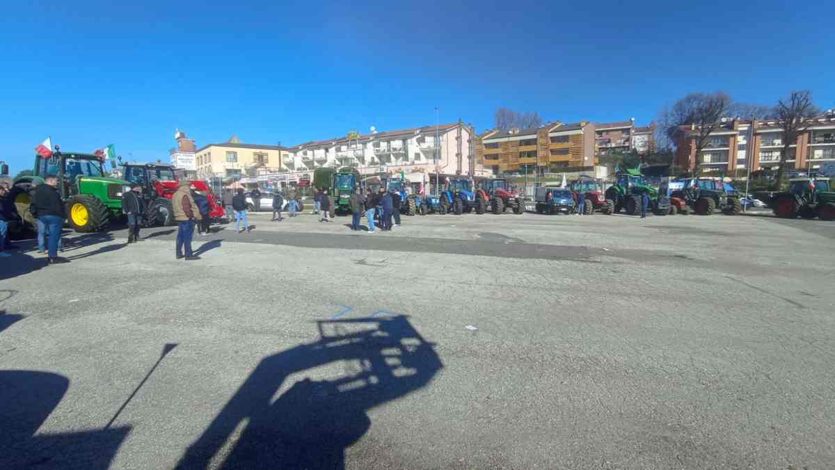 Le proteste
