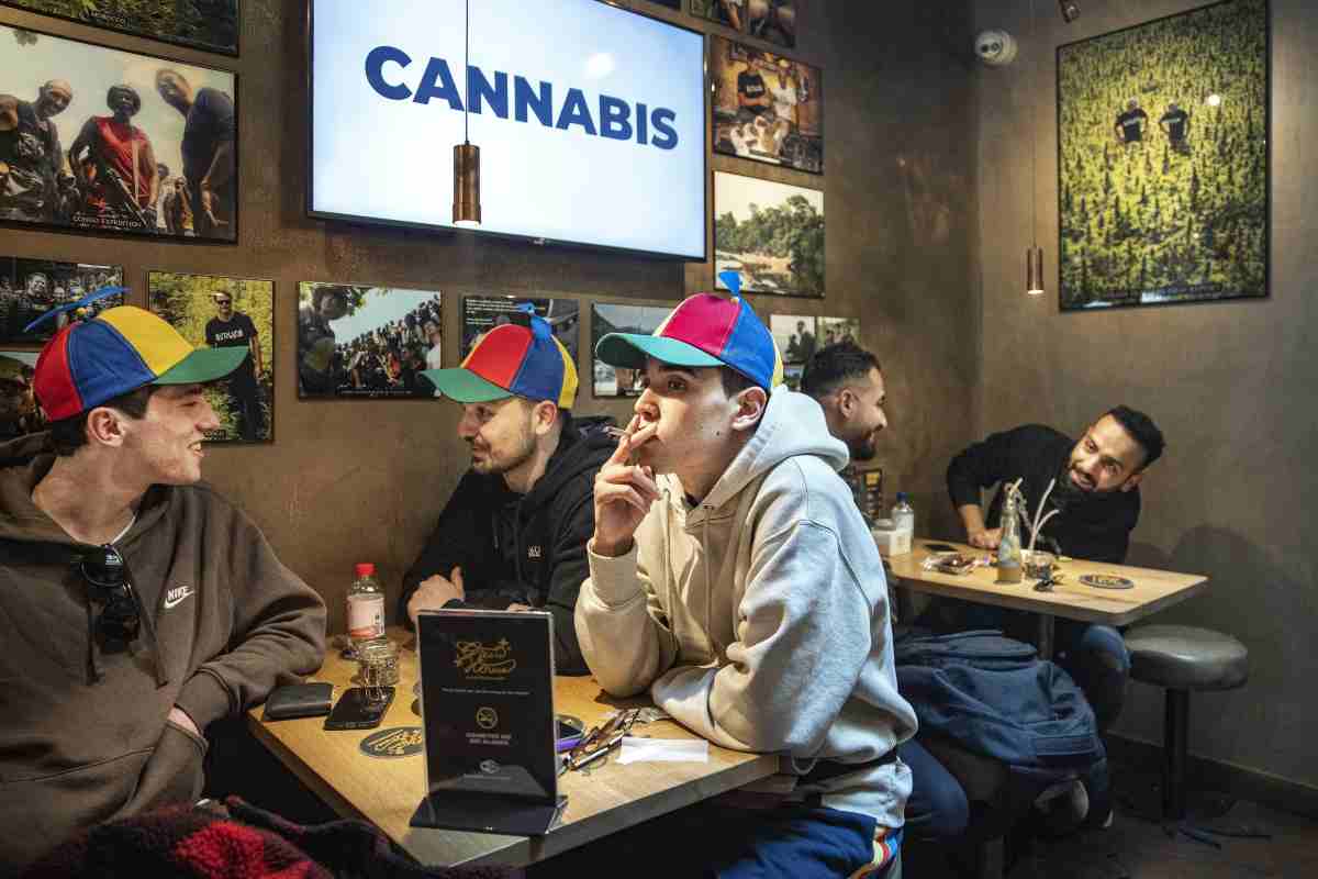Nuova campagna in Olanda: "Cerchi cocaina?"
