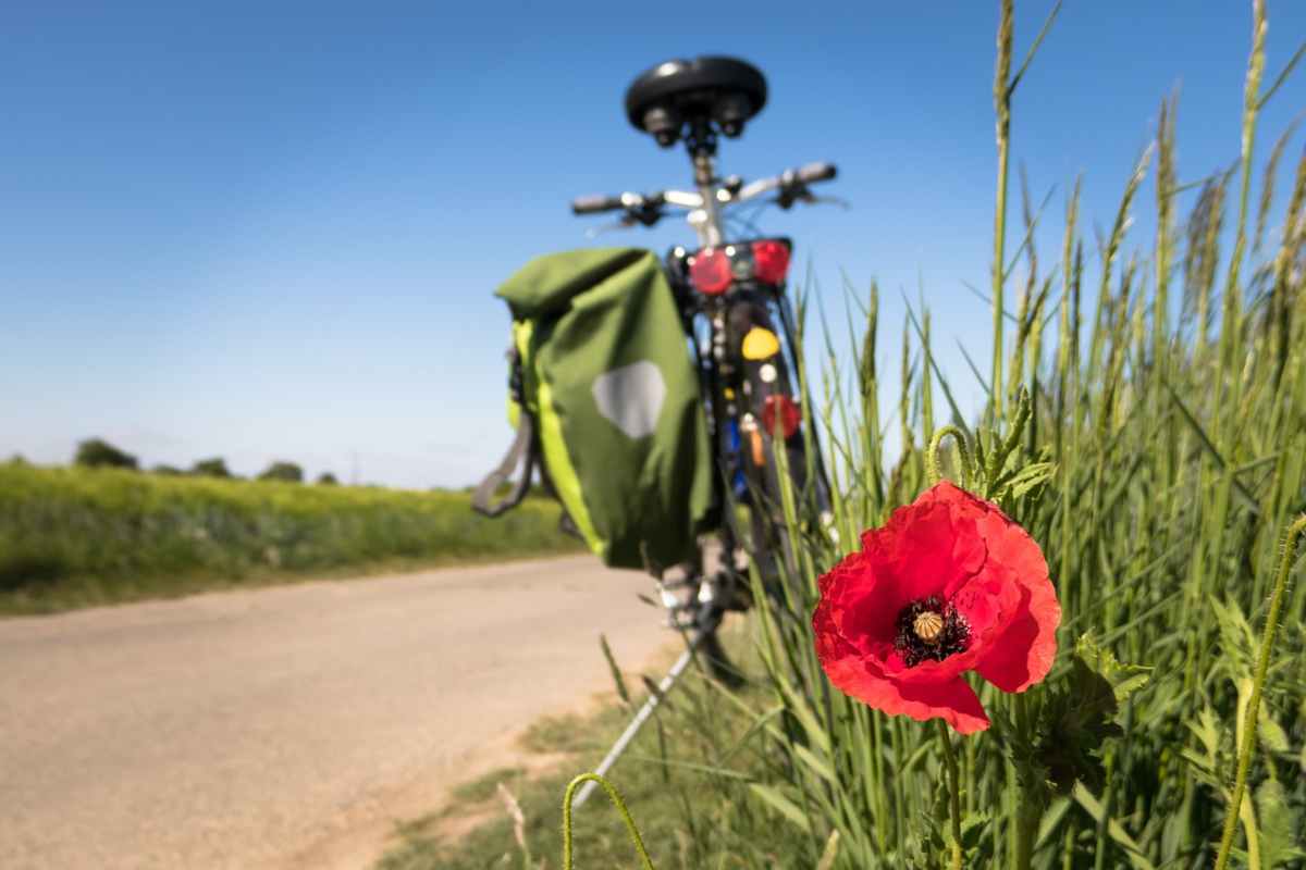 Ciclista morto dopo una caduta: potrebbe aver avuto un malore