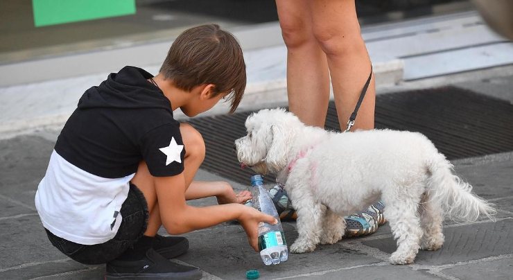Cani e famiglia