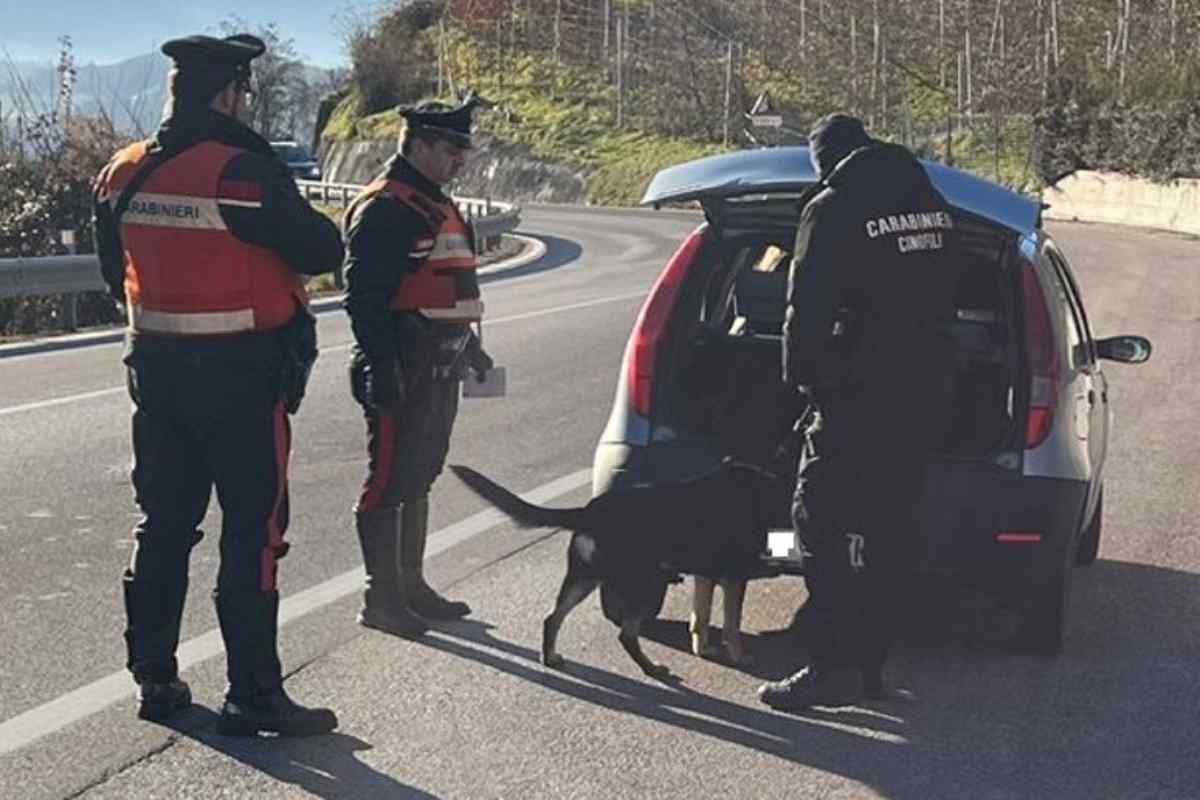 Carabinieri antidroga