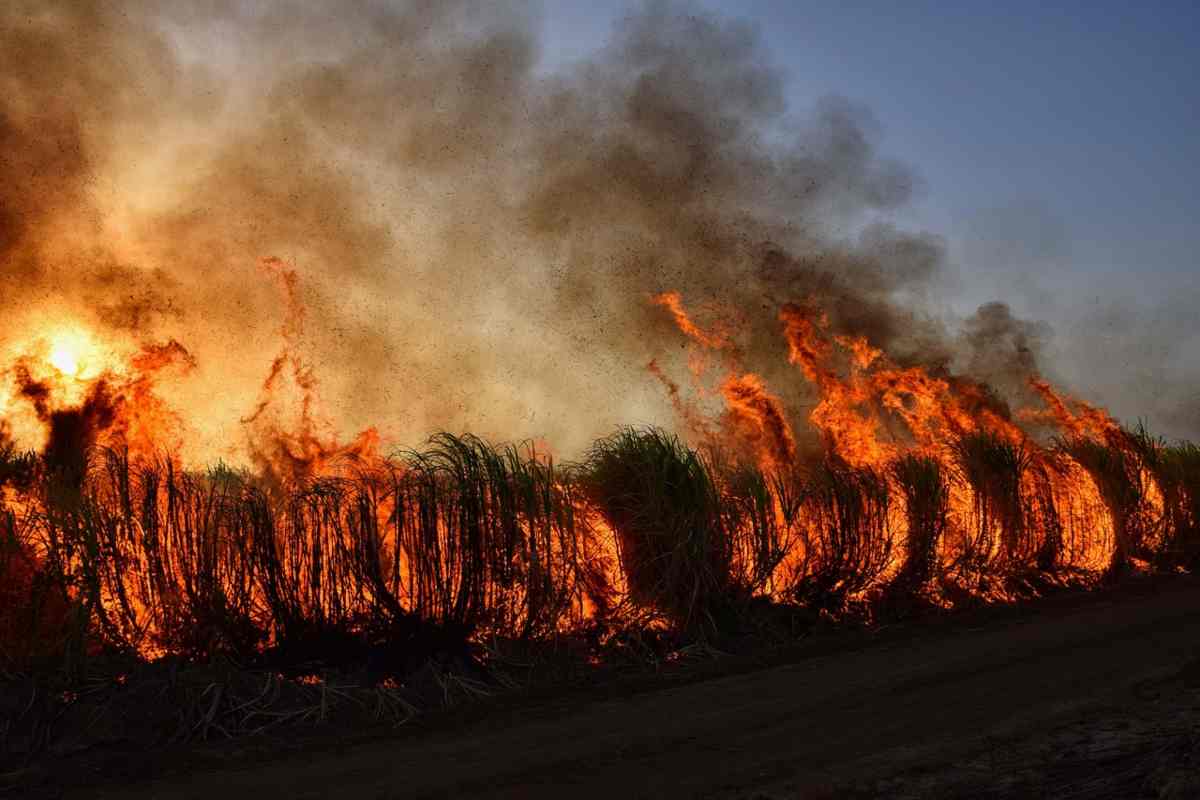 Incendi travolgono le città: evacuate migliaia di persone dalle loro case