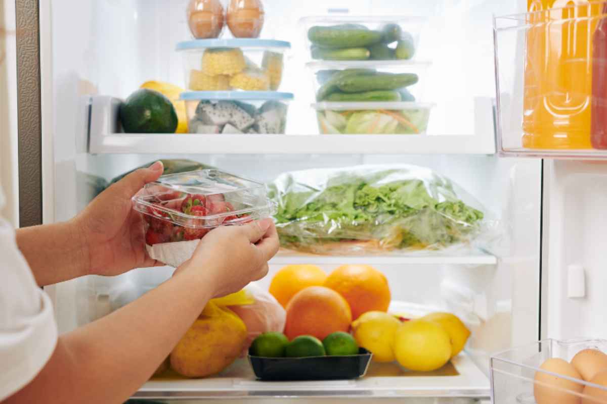 Hai sempre sbagliato a conservare gli alimenti in frigo: l’errore comunissimo che mette a rischio la tua salute