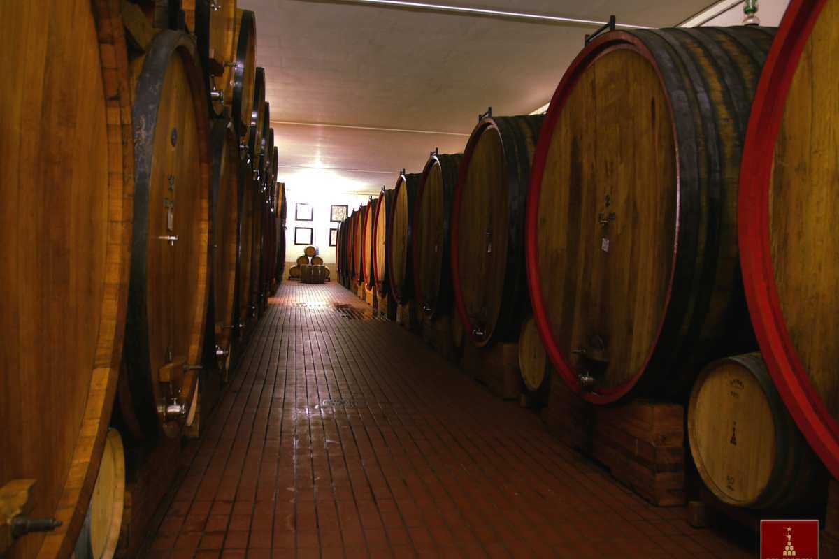 azienda montalcino sostenibilità 