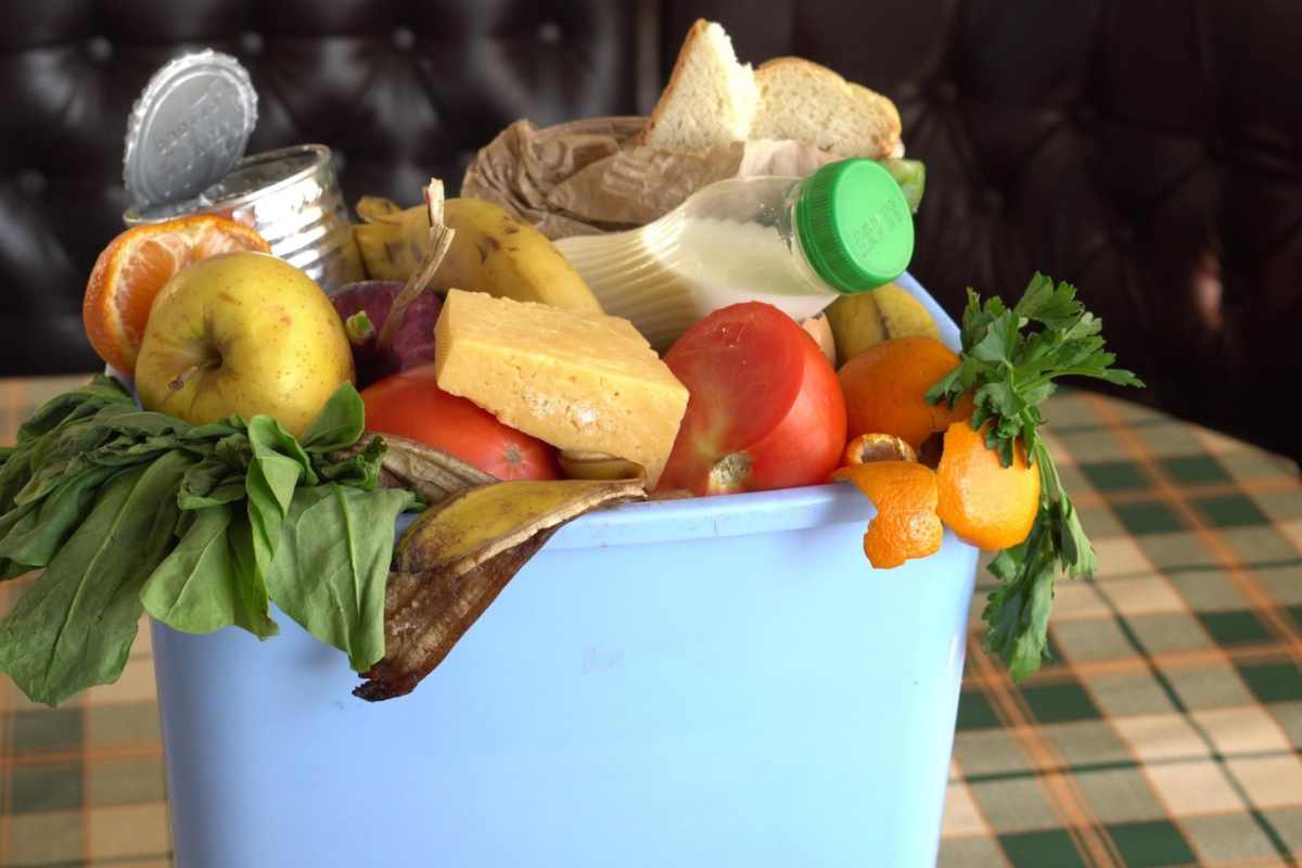 coldiretti cibo nella spazzatura 