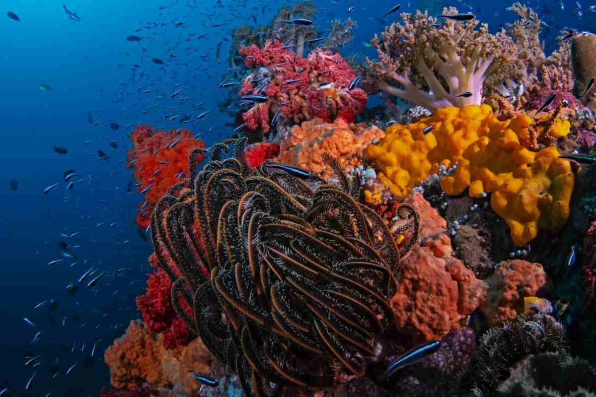 pericolo biodiversità legambiente 