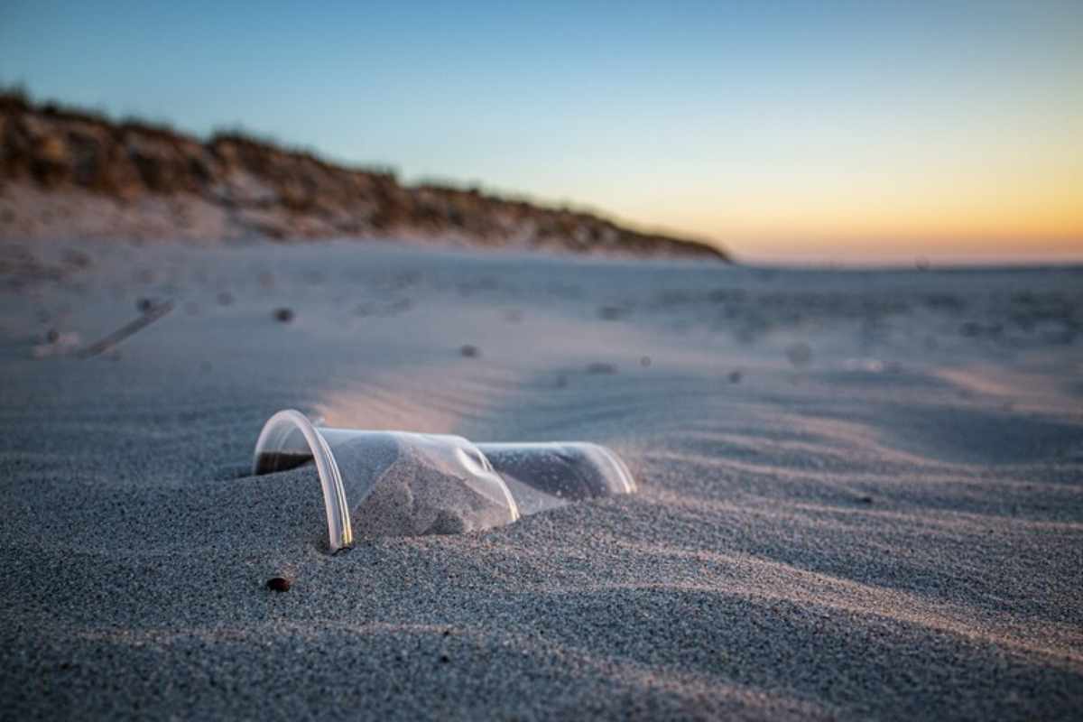 microplastiche disperse in mare