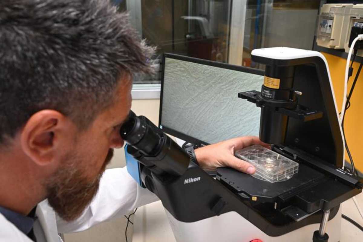 Lotta ai tumori: come fermare glioblastoma