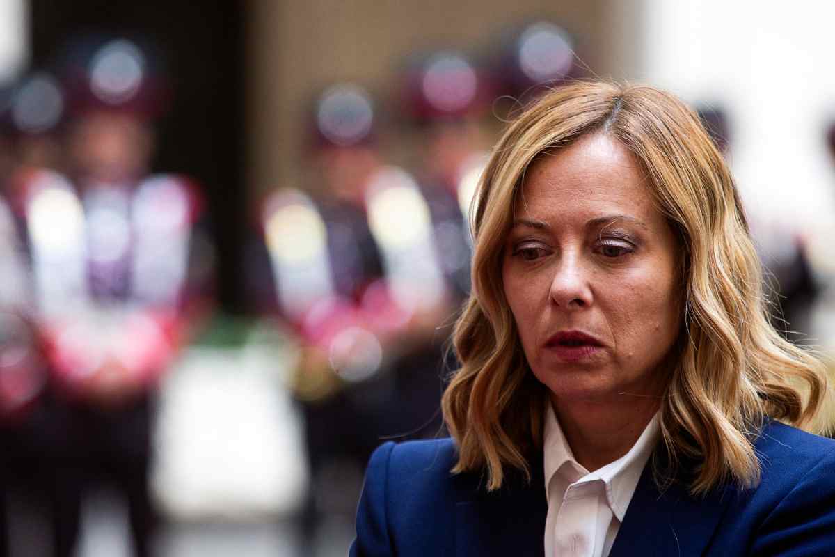 Meloni esclusiva Verzichelli