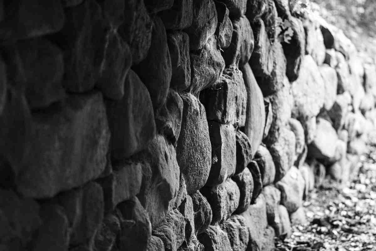Corea del Nord, scoperti lavori per costruire un muro al confine