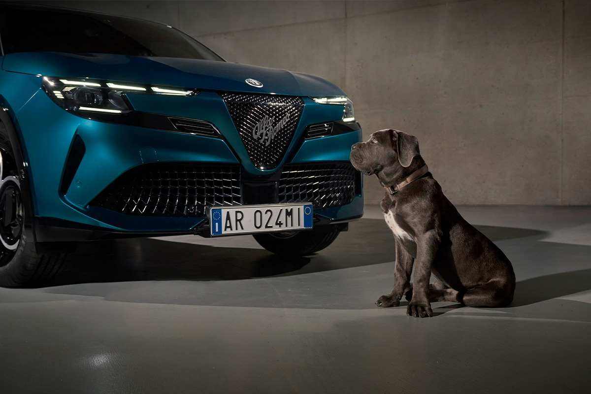 alfa romeo junior ibrida
