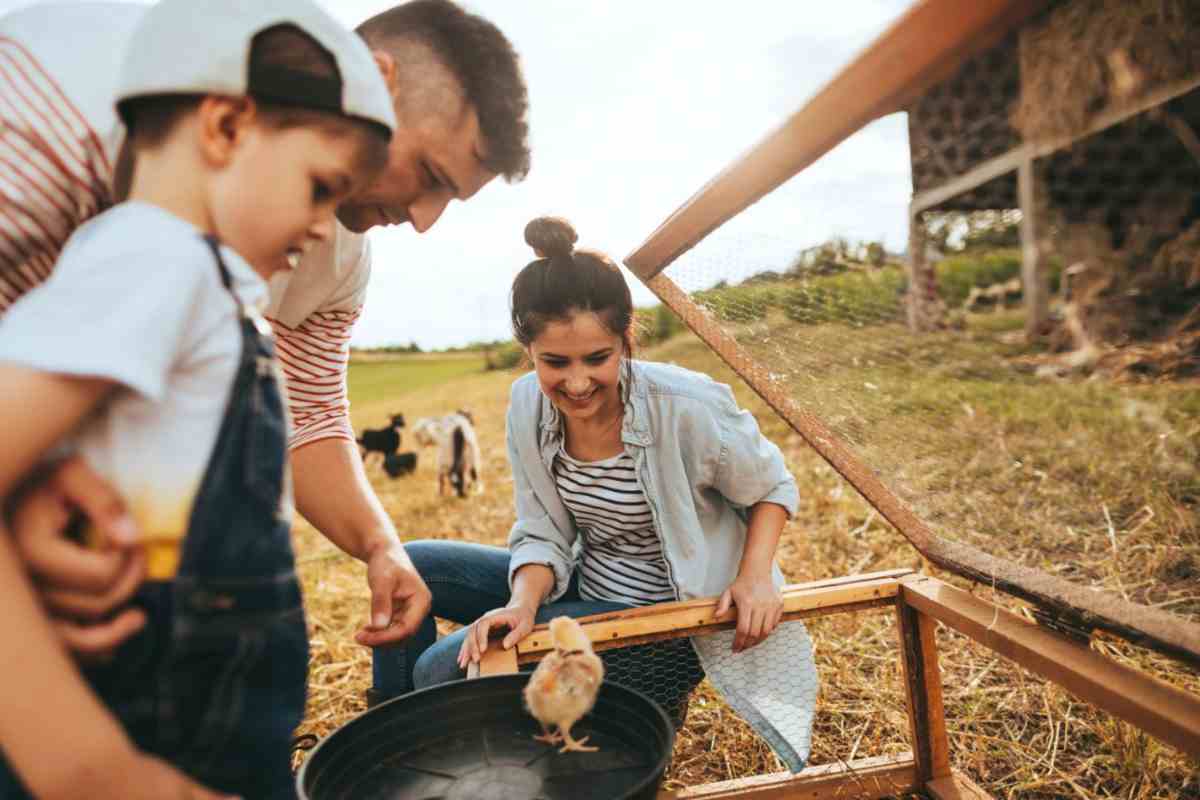 toscana comune più agriturismo 