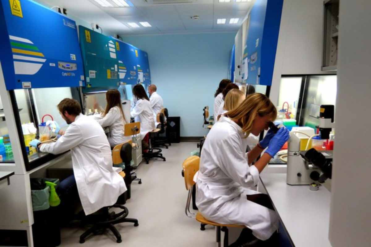 nanoinformatica e IA contro il cancro