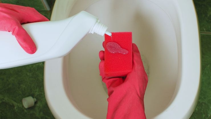 Fondo scuro nel wc risparmierai tempo e fatica