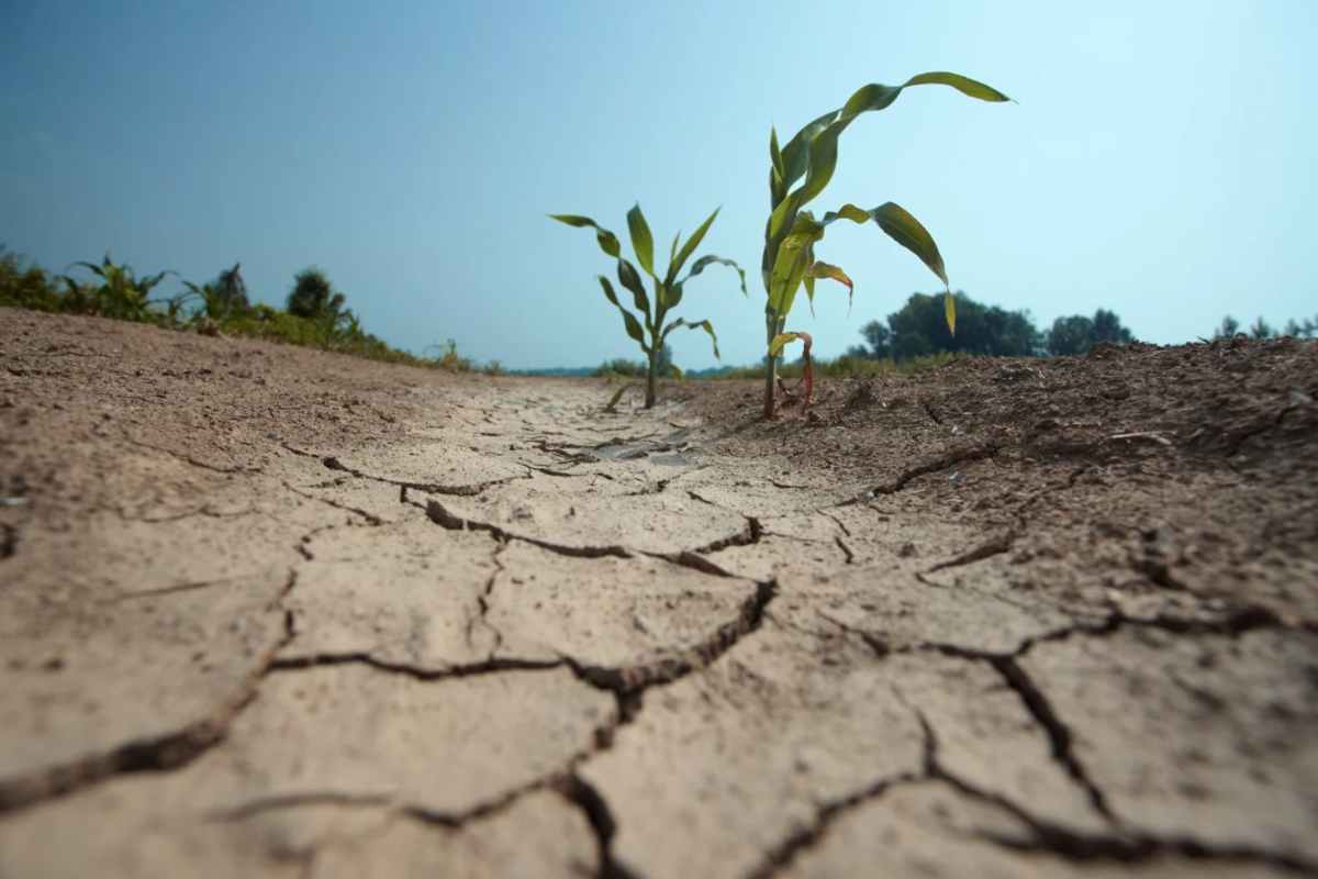 siccità legambiente danni italia 