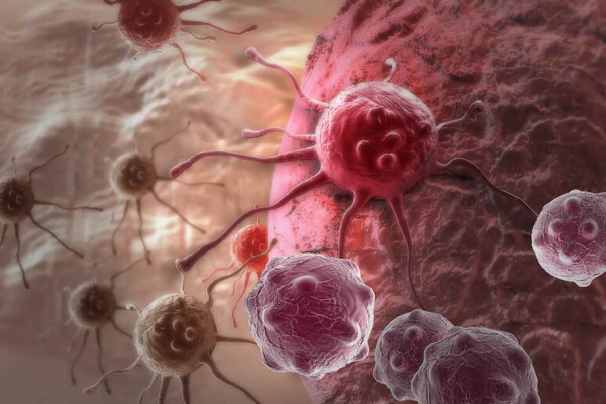 Morbillo: scoperto un potente anticorpo 