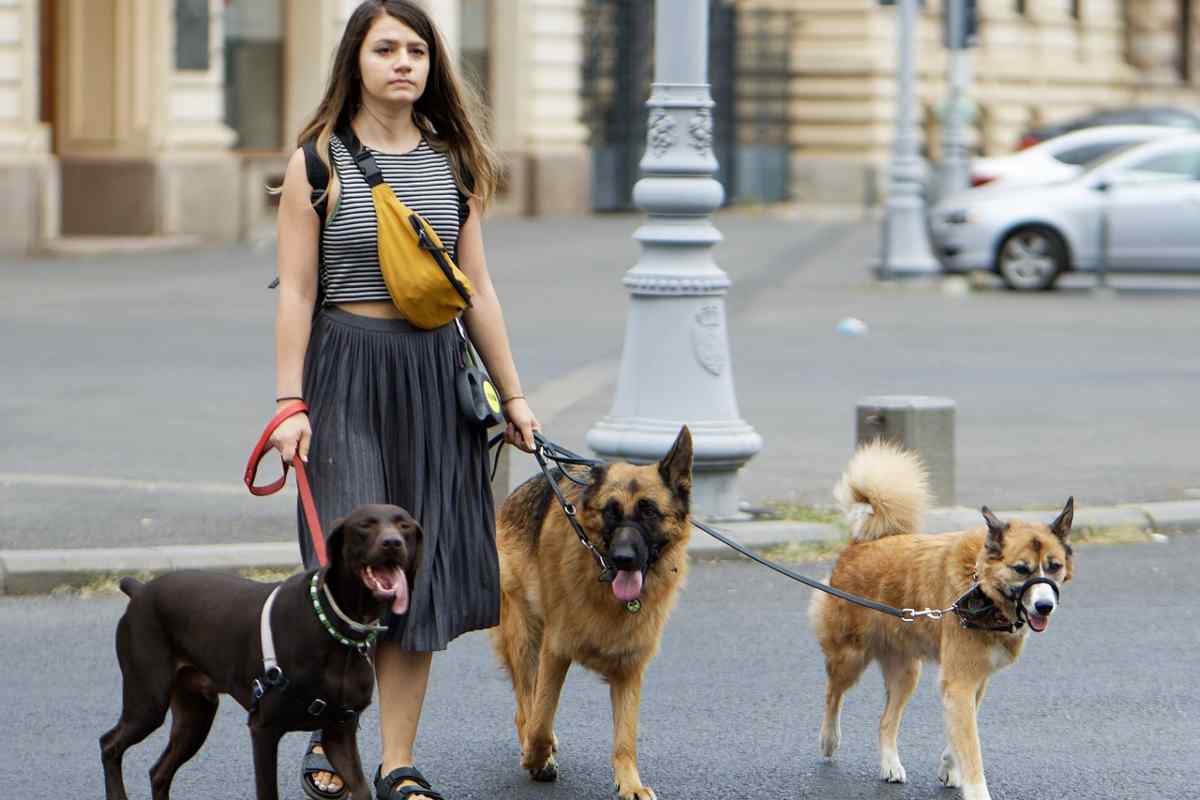 “Porti il cane al mare con il guinzaglio e raccogli la cacca? Riceverai un premio”