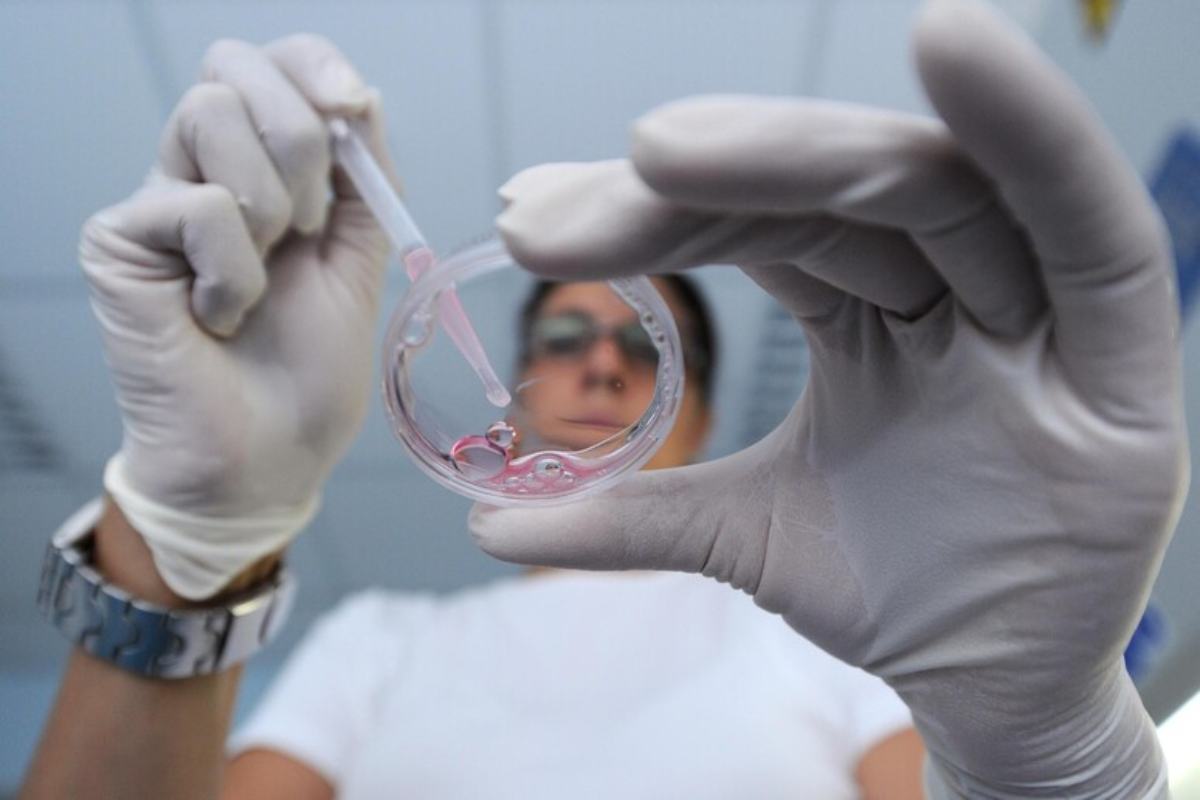 Studi sulla leucemia 
