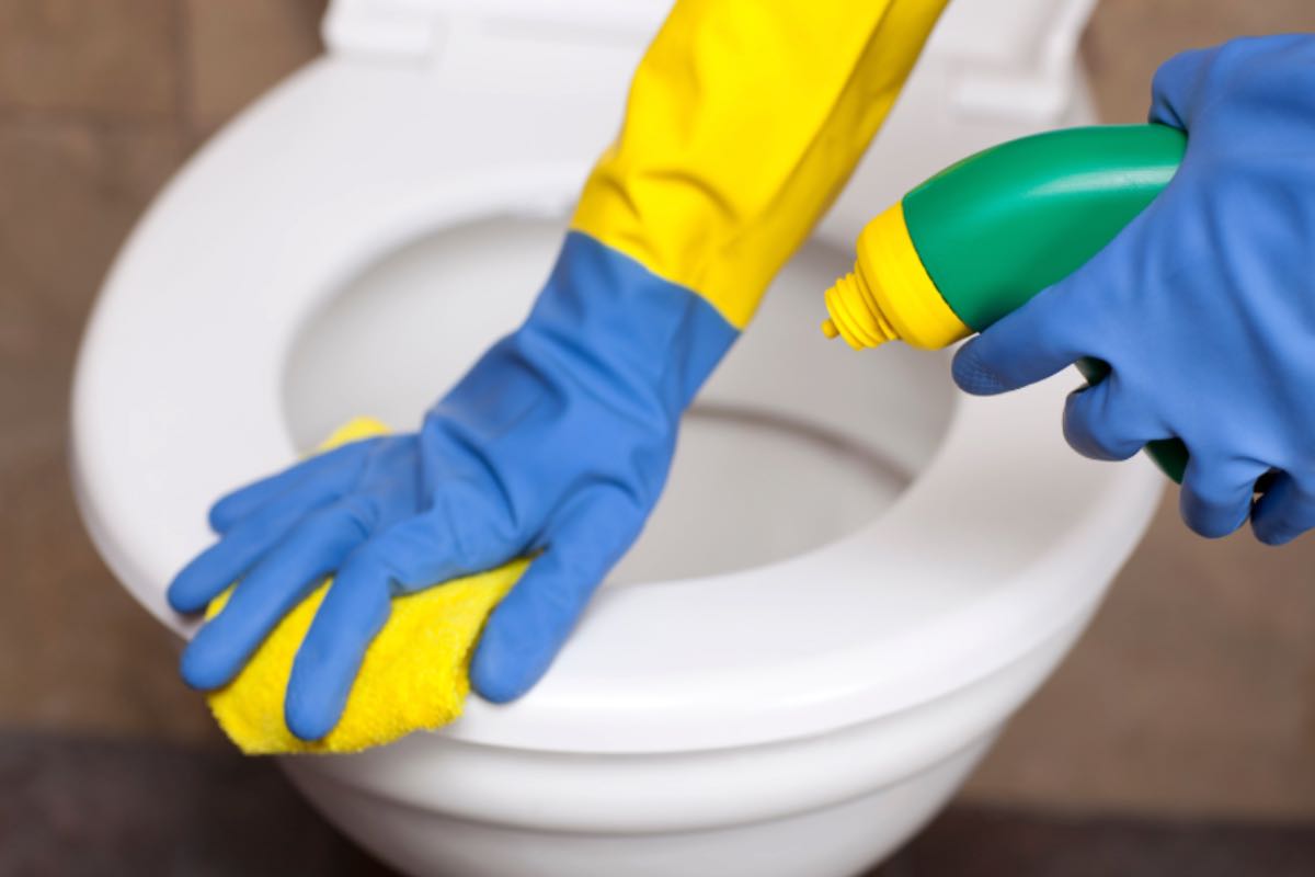 Pulizia wc, cosa utilizzare: ingredienti naturali
