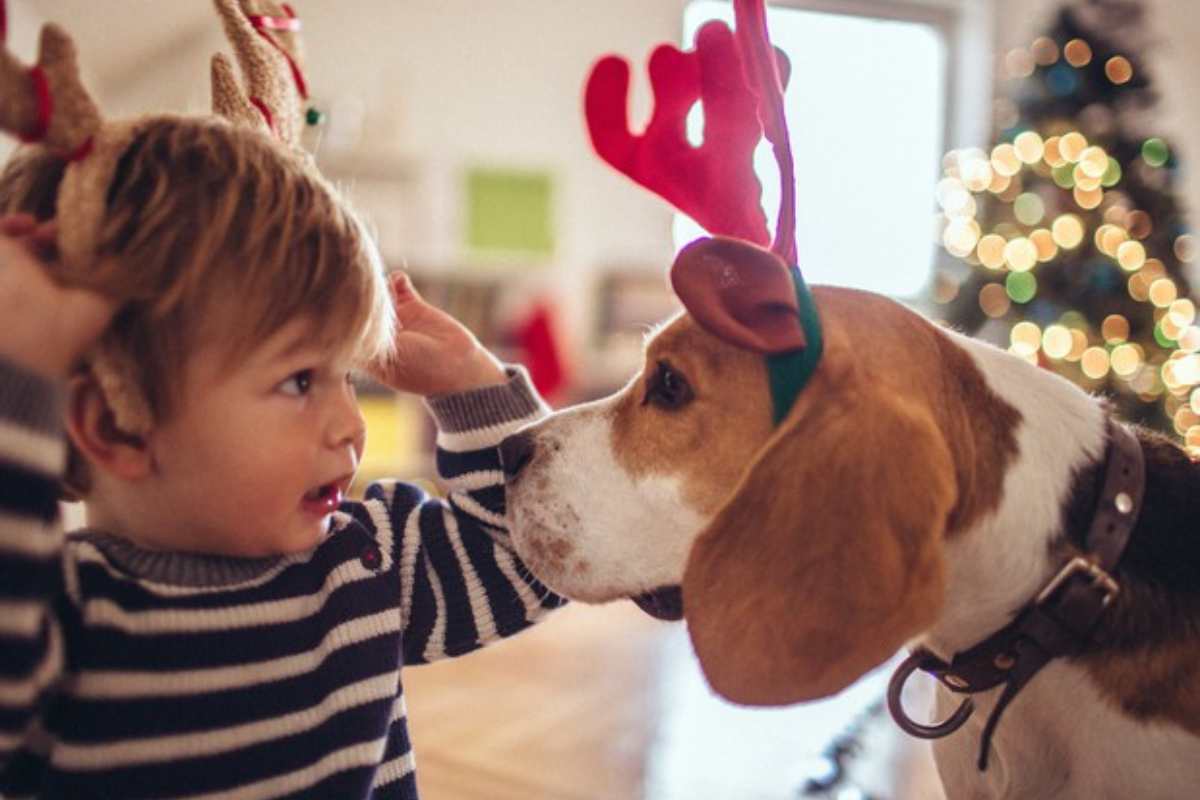  relazioni pet-bambini