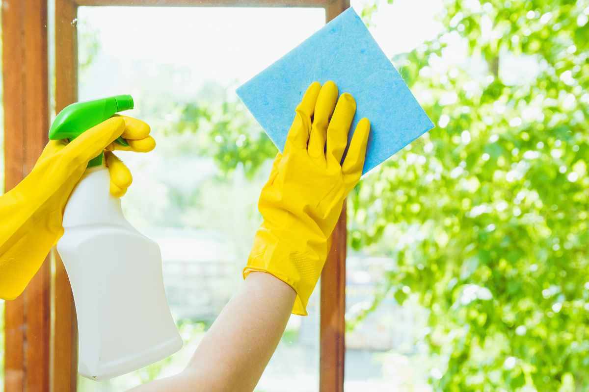 Vetri come nuovi ingrediente miracoli