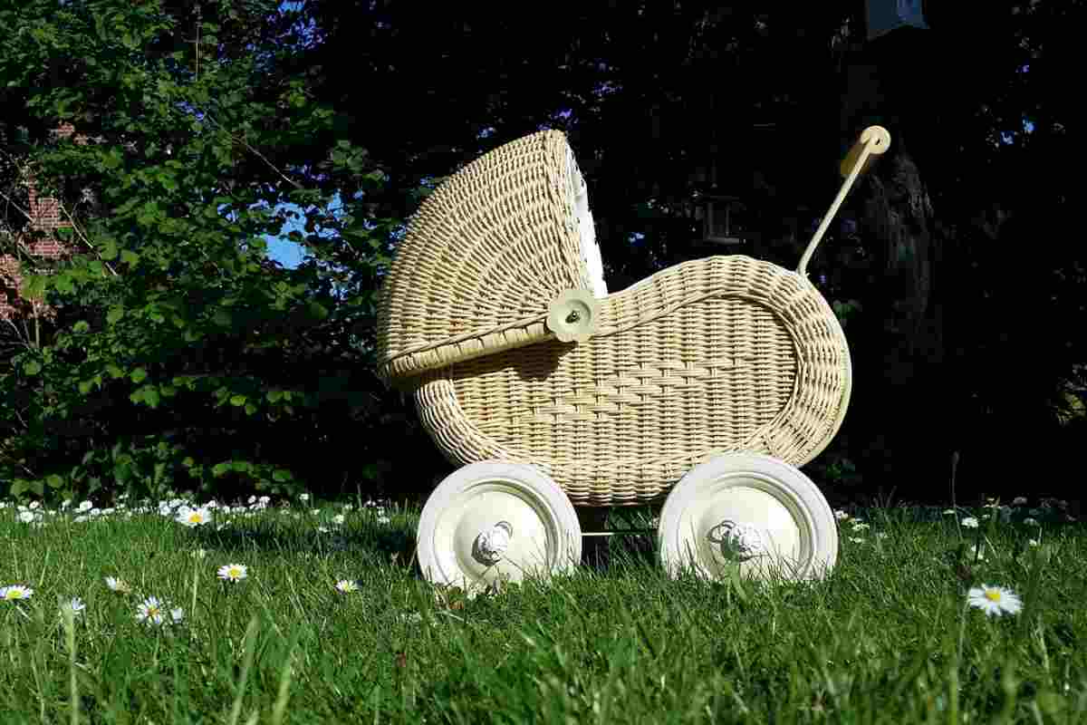 Carrozza con bambino rotola nel fiume: la nonna di 70 anni si butta per salvarlo