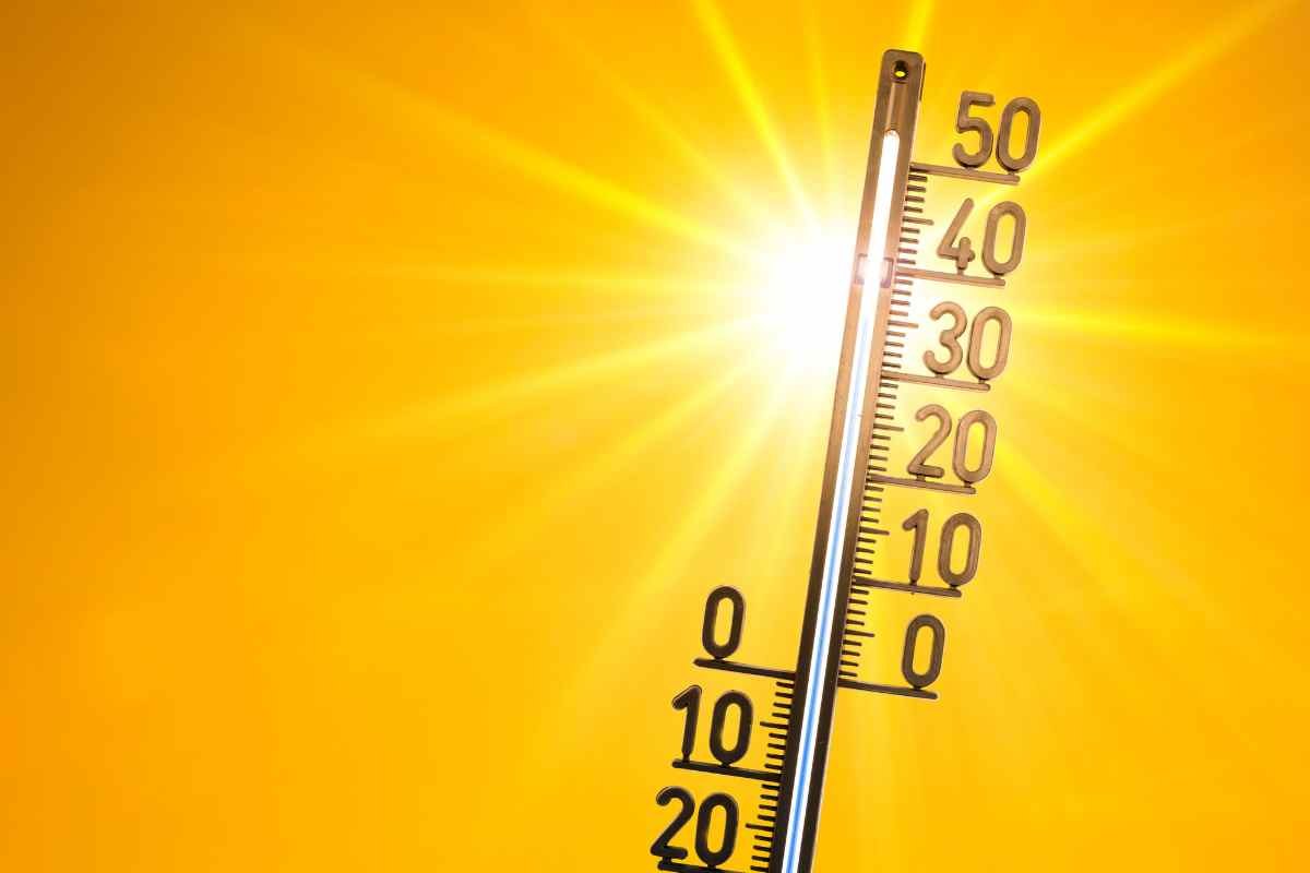 caldo afoso bollini rossi