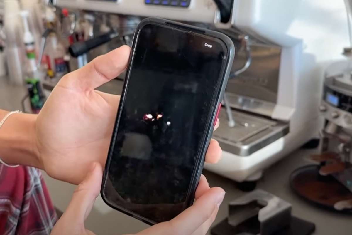 smartphone nelle mani