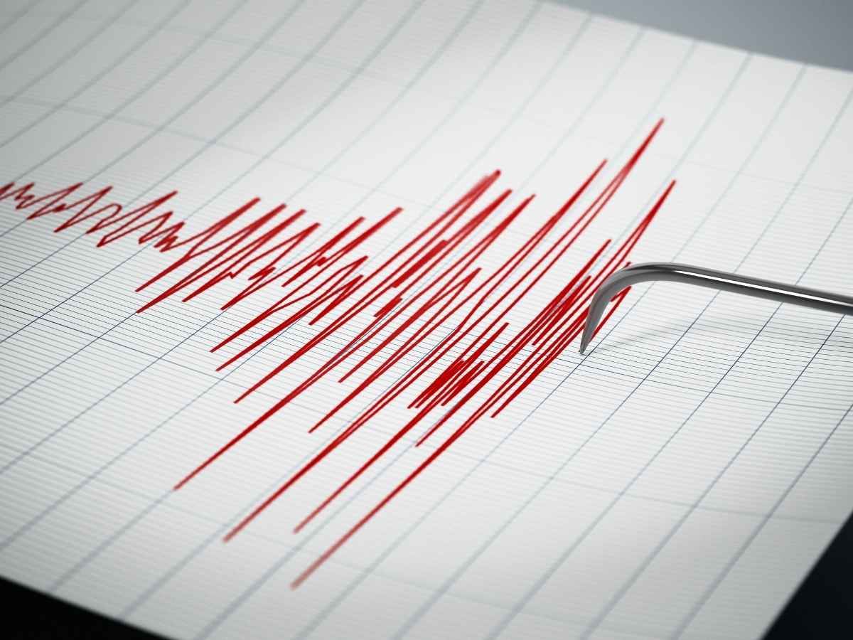 Registrazione del terremoto (generica)
