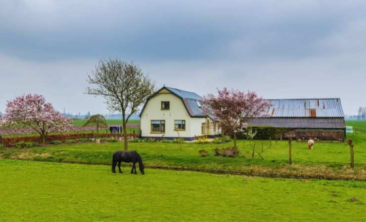 agriturismo nel prato
