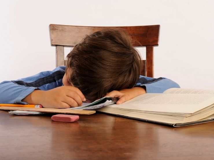 Un bambino è stanco dei compiti e si addormenta sui libri