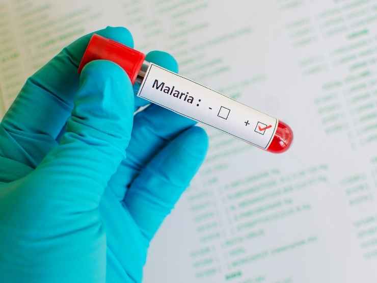 Virus malaria