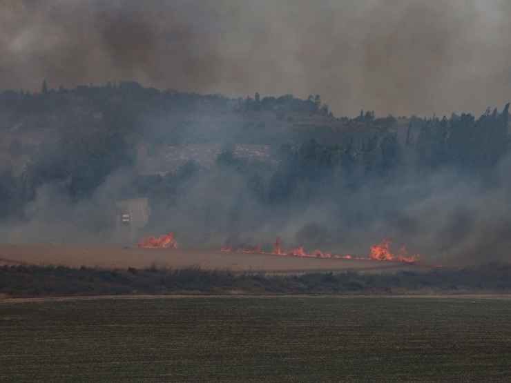Israele roghi