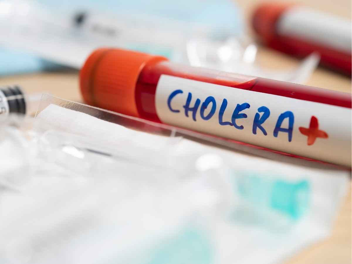 Il ritorno del colera, i dati catastrofici dell’Oms: “Tassi di mortalità ai massimi storici”. Ecco dove sta colpendo Il ritorno del colera, i dati catastrofici dell’Oms: “Tassi di mortalità ai massimi storici”. Ecco dove sta colpendo