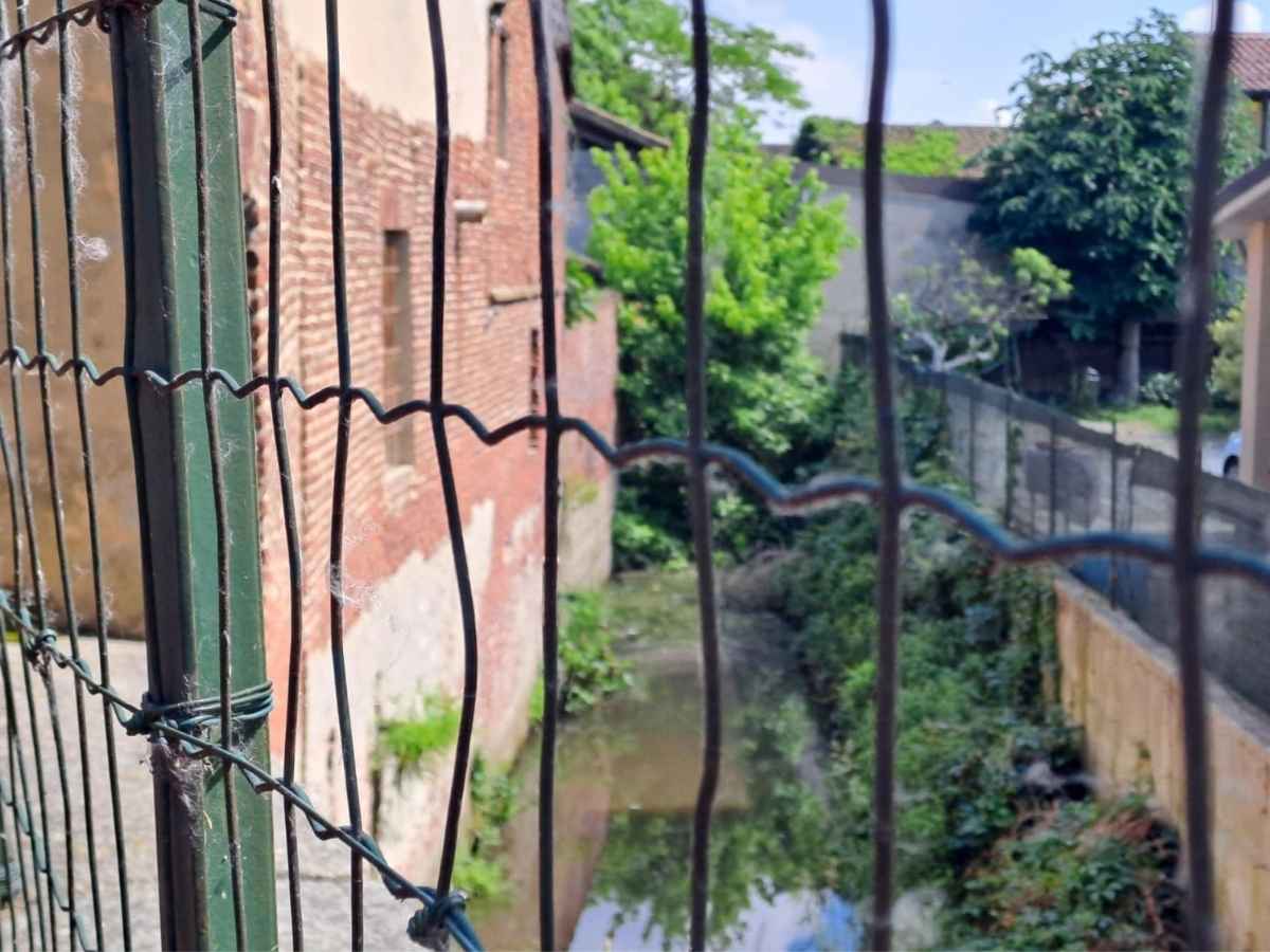 cos è il martello di garlasco perché i carabinieri lo hanno cercato a tromello e perché è così importante averlo trovato da Notizie.com cos è il martello di garlasco perché i carabinieri lo hanno cercato a tromello e perché è così importante averlo trovato