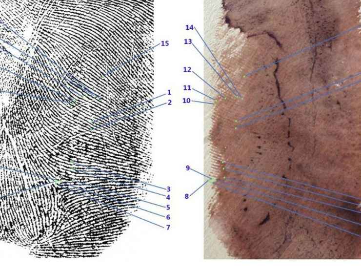 Comparazione di impronte nell'ambito delle nuove indagini sul delitto di Garlasco