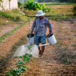 Un contadino migrante lavora nei campi
