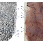 Delitto di Garlasco, l'impronta 33