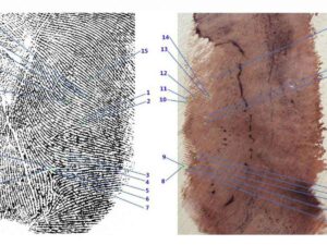 Delitto di Garlasco, l'impronta 33