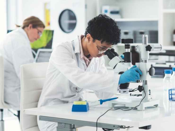Ricercatori al lavoro contro il vaiolo delle scimmie
