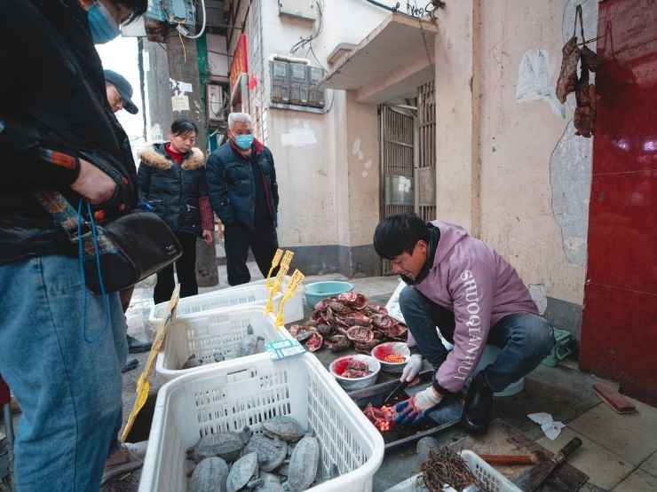 Un uomo vende carne di tartaruga in strada a Wuhan, in Cina, dove sarebbe partita la pandemia da Covid