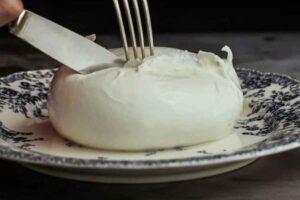 Una mozzarella di bufala in un piatto