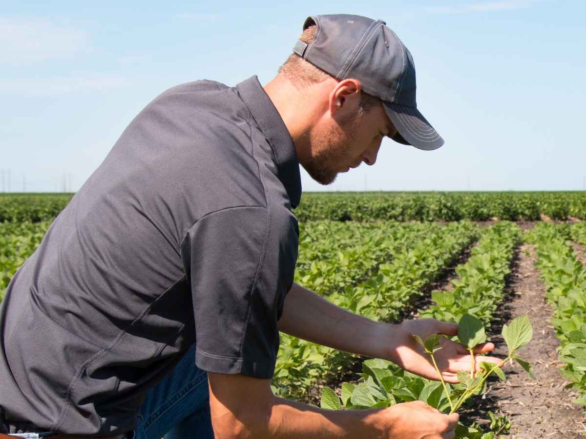 Dazi Usa e cambiamento climatico, il grido dell’agricoltori italiani: “Viviamo nell’assoluta incertezza” Dazi Usa e cambiamento climatico, il grido dell’agricoltori italiani: “Viviamo nell’assoluta incertezza”