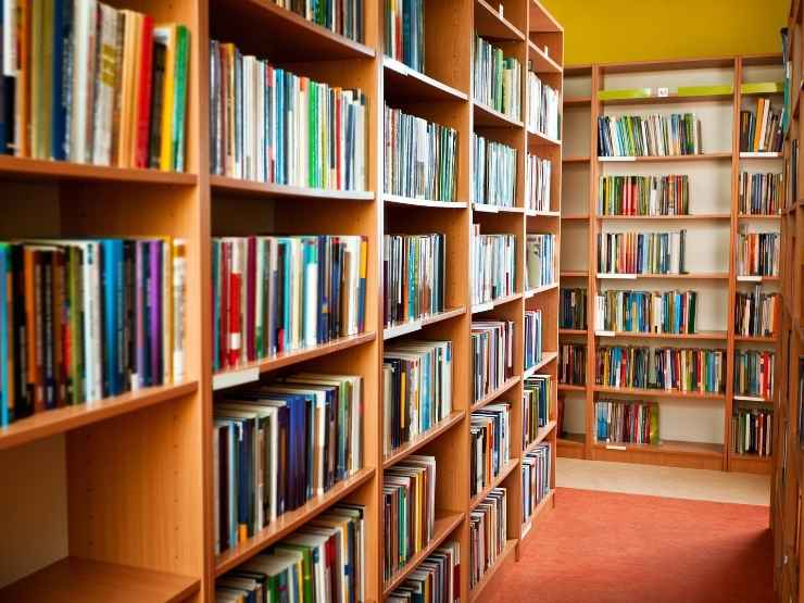 Una biblioteca vuota