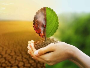 Cambiamento climatico, una persona tiene tra le mani della terra ed una foglia parzialmente bruciata